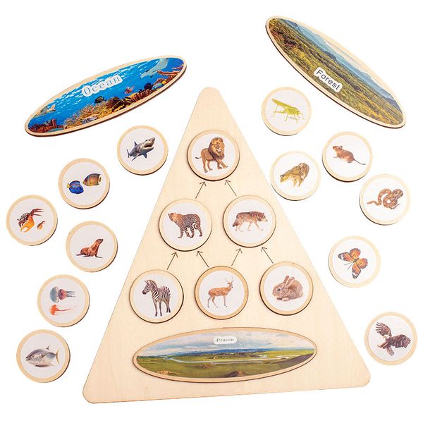 Montessori Educational Learning Toys Prairie Ocean Forest Animals Ecological Food Nouveauté cognitive Puzzles pour enfants Jeux