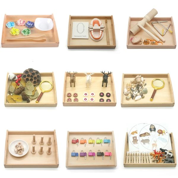 Montessori Sensory Toys Basic Life Material Fine Motor Learning éducation pour les enfants 3 ans H24H 240321