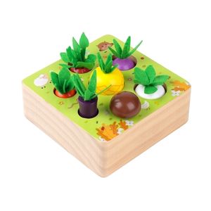 Juego de juguetes Montessori, juguetes de madera para bebés, forma de zanahoria, tamaño a juego, rompecabezas cognitivo para niños, juguetes de madera para bebés LJ201211