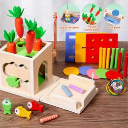 Le jouet en bois Montessori comprend le tri des couleurs Tirer les carottes de pêche insectes attrapant les jeux de moteur fin jouet 240407