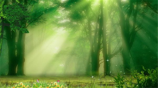 Matin Soleil À Travers Les Arbres Studio Fond Photographie Forêt Fleurs Papillon Extérieur Vert Scénique Mariage Photo Décors 20x10ft