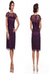 Mother Off Bride Dresses Lace Purple Custuom Custuom hechos de la madre del novio Vestidos de novia para ropa de boda DR3665061