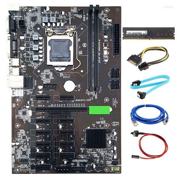 Cartes mères B250 BTC Mining Kit de carte mère 12 GPU LGA1151 avec carte DDR4 8GB 2133Mhz RAM SATA pour graphique ETH Miner