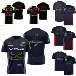Vêtements de moto F1 Racing T-shirt à manches courtes Summer Team Downhill Jersey Le même style personnalisé Drop Livraison Automobiles Motorcyc Dhwmr