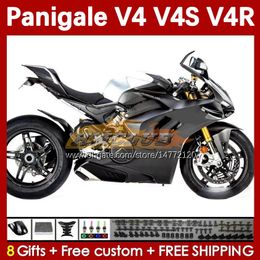 Motorfietsbeurt voor Ducati Street Fighter Panigale V4S V4R V 4 V4 S R 18 19 20 Body 41No.42 V4-S V4-R 18-22 V-4S V-4R 2018 2019 2020 Spuitmal Board Matte