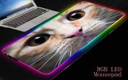Poussions de souris poignets repose Mrg Cat blanc face grande Mousepad Nonskid Rubber Republic of Gamers Gaming Pad ordinateur portable de bureau d'ordinateur portable 1273344