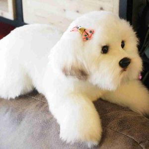 Movies TV Plush Toy Realistische Maltese Dog Gevulde Animal Plush Toy Lifelike Animal Plushies Simulatie Dieren Doll 240407