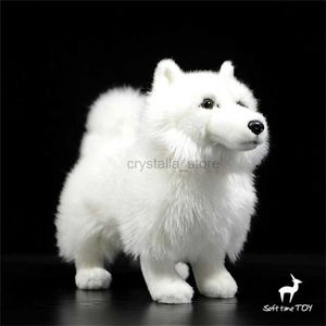 Films télévision en peluche jouet samoyed chien high fidelity anime mignon samoye chien peluche peluche toys animaux réels simulation de poupée en peluche kawai toy cadeaux enfants 240407