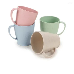 Tasses 1PC tasse café écologique blé paille tasses pour filles accessoires de cuisine biodégradable boisson brève eau thé lait