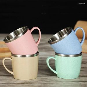 Tasses en acier inoxydable de 220ml, paille de blé, tasse d'eau Anti-brûlure, tasse de café, de lait, de thé, pour la maison et le bureau