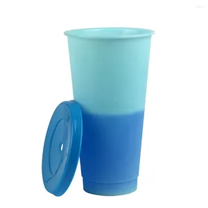 Tasses 5 pièces tasses d'eau en plastique température couleur changeante tasse de paille boisson froide tasse de café pour les enfants adultes