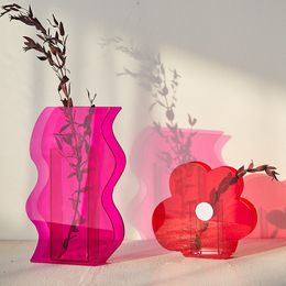 Tasses Acrylique Designer Nature Série Nordique Géométrique Séché Fleur Vase Arrangement Hydroponique Décoration 230818