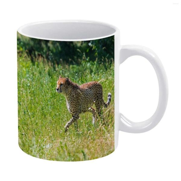 Tazas Taza Blanca De Guepardo Para Amigos Y Familiares Regalo Creativo 11 Oz Café Cerámica África Leopardo Africano Animal Dormido Bush Coche