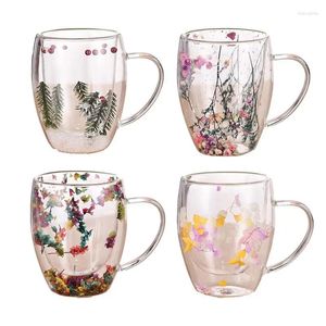 Tasses Tasse à café créative à double paroi Tasses en verre transparent avec poignées Décoration de fleurs sèches et boisson exquise isolée