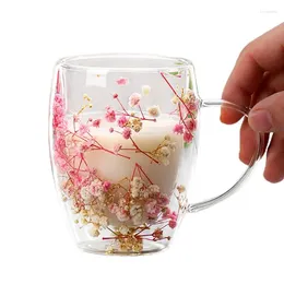 Tasses Creative Double paroi tasse à café vraie fleur séchée remplissage tasses en verre thé expresso lait cadeau pour le bureau à domicile