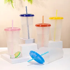 Tasses Creative Flash Color Smanding tasse à la paille froide Diy plastique 700 ml d'eau potable