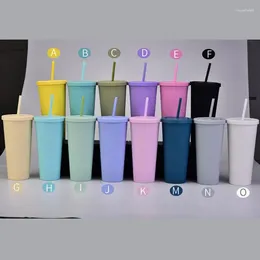 Tasses créatives Flash poudre paille tasse réutilisable jus de café avec couvercle tasse givrée en plein air Portable eau cuisine outils