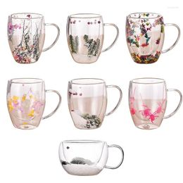 Tasses à Double paroi en verre, vraies fleurs, décoration de fleurs sèches pour boire du thé, de la bière, du café, du lait, avec poignées, cadeau de noël
