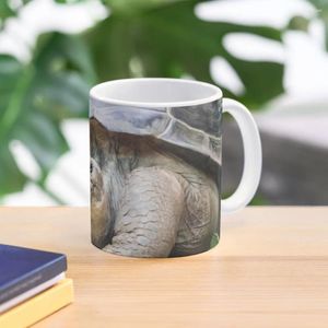 Tazas Galápagos Tortuga Gigante Taza De Café Tazas Cerámica Grande