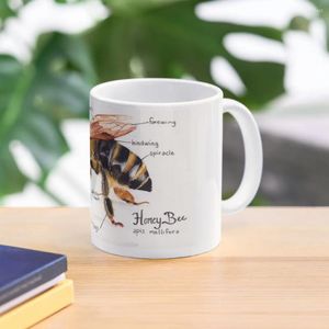 Tasses Honey Bee Anatomy Chart Tasse à café Verres froids et thermiques pour tasses en céramique créatives