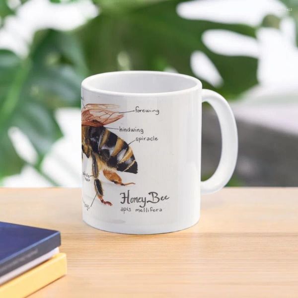 Tazas Miel Abeja Anatomía Gráfico Taza De Café Vidrios Fríos Y Térmicos Para Tazas De Cerámica Creativas