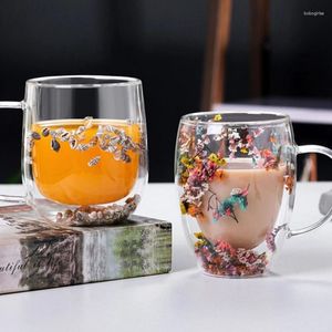 Tazas versátiles de café de vidrio transparente Bebidas taza de café espresso Cazas de doble pared material para agua kxre