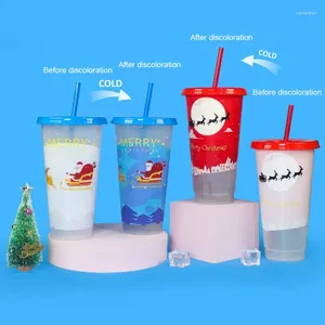 Tasses bouteille d'eau avec couvercle en plastique réutilisable, tasse à changement de couleur froide, gobelet à jus de boisson, cadeaux de noël