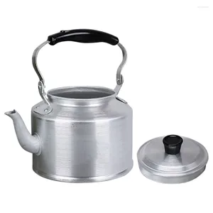 Mokken Water Kettle Aluminium Stovetop Tea Pot met handvat keuken voor losse 4L