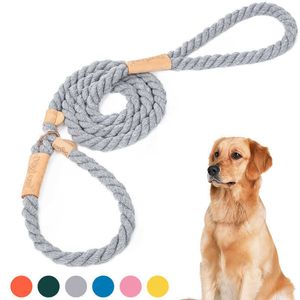 Collar de cuerda de algodón multicolor Cómodo y duradero Entrenamiento para mascotas Correa para perros Suministros para mascotas Correas básicas 100% algodón Sólido Qianyi 210712