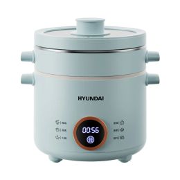 Multicookers 2.0L Electric Rice Cuideur Pot de cuisson Mini Multicooker Boîte à lunch Boîte à riz cuiseurs Hotpot Hotpot Electric Somet Food Steammer