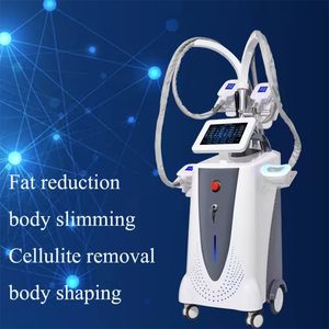 Machine multifonction 2 en 1 pour gel des graisses, amincissante, Ems, renforcement musculaire, 360 Cryo Ems Rf, Machine de sculpture corporelle fraîche