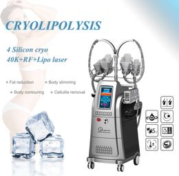 Machine multifonction de traitement cryo-amincissante pour le corps, cryothérapie, 4 poignées, congélation des graisses corporelles, perte de poids, CE