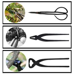 Ensemble d'outils de bonsaï multifonctionnels ciseaux de coupe étendus en option pour outils de taille de jardin outils de style Bonsaï