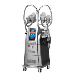 Plaque multifonctionnelle de Machine amincissante de corps de Cryo avec la Cavitation Rf pour l'équipement de perte de poids de congélation de graisse