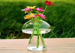 Flor de la botella de vidrio de vidrio en forma de hongo Decoración de la mesa del hogar adornos modernos 6piece2156317