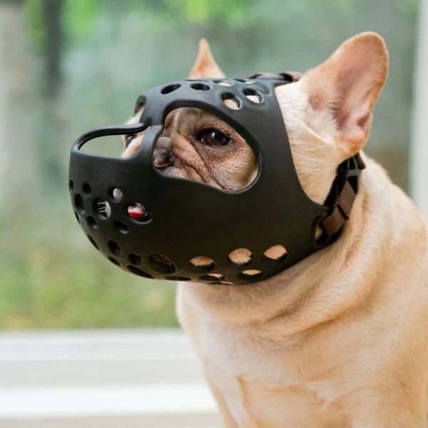 Muselières à museau court pour chien, masque buccal anti-mordant et respirant pour bouledogue à face plate, masque de muselière, accessoires d'extérieur pour chiens