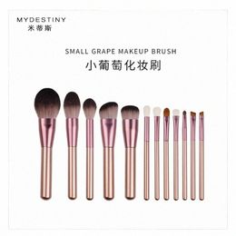 mydestiny make-up kwastenset-De kleine druiven 12st cosmetische penselen-foundatipowderblush-vezelhaar schoonheidspennen-make-up tool f3cx#