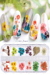 NA054 12 kleuren gedroogde bloemen nail art decoraties 3d natuurlijke madeliefje gypsophila bewaard droge bloem diy nagelstickers manicure dec2463374