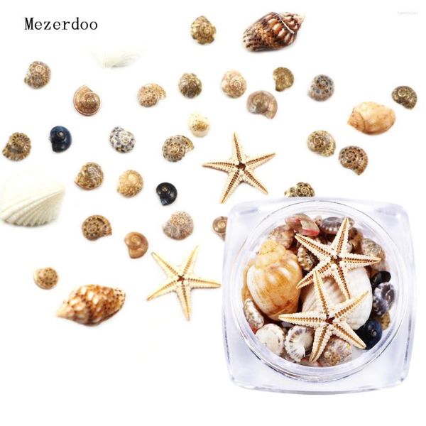 Nail Art Decorations 1 Box 3D Décoration naturelle Mini Conch Shells Starfish Sea Beach Ornaments Manucure Tools for DIY