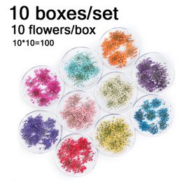 Nagelkunstdecoraties 100 stcs gedroogde bloemen Nail Art Decoratie Charms Natural Floral Stickers Diy Manicure Accessories voor UV -gel nagellakbenodigdheden 230822