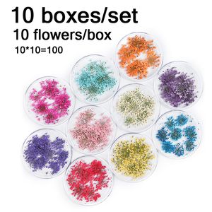 Nagelkunstdecoraties 100 stcs gedroogde bloemen decoratie charmes natuurlijke bloemenstickers diy manicure accessoires voor UV -gel Poolse benodigdheden 230816