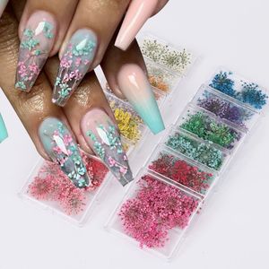 Nail Art Decorations 12PCS 3D Natural Babysbreath Dried Flower Nails Art Decoration Sticker For Nail Supplies Floral Design DIY Manicure Accessories 231117