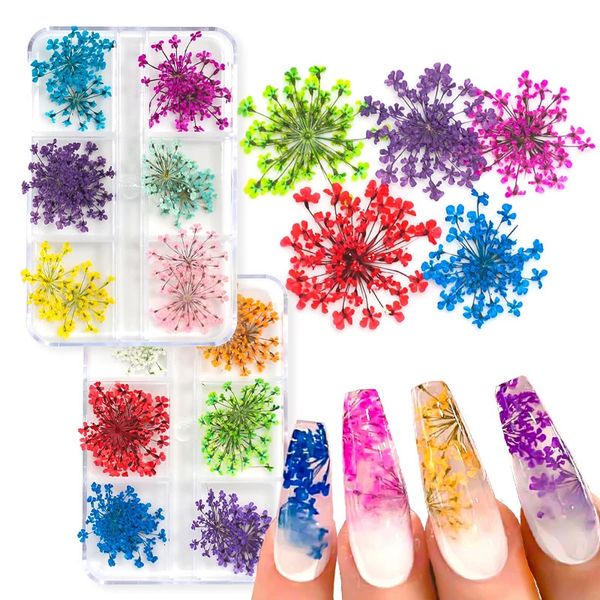 Décorations d'art d'ongle 12Pcsbox 3D fleurs séchées décorations d'art d'ongle vrais autocollants de fleurs séchées bricolage manucure charmes conceptions pour accessoires d'ongles 231207