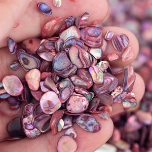 Nail Art Decoraties 50 ml/pot Natuurlijke Zeeschelp Slice Abalone Schelp Fragmenten Textuur 3D Charme Nail Art Decoratie Steentjes Voor Vrouw DIY 231211