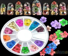 Decoraciones de arte de uñas enteros 36pcs 3D Sticker Flower seca Diy Consejos Decoración acrílica Rueda 7GV6 9K9R5798674