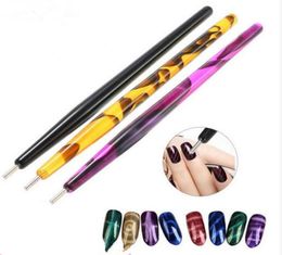 Nail Art Dotting Pen Brush acrylique Diy Magic 3D TIPS CAT Eye Polon