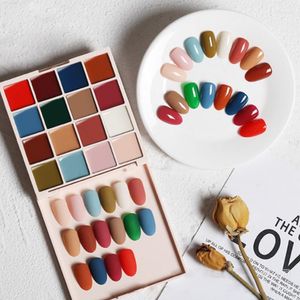 Nail Art Kits 16 kleuren Solid lijmset Poolse palet palet manicure kit sterk gepigmenteerde gel voor doe -het -zelf