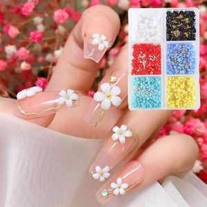 Kits d'art d'ongle 6 grilles 3d décorations de fleurs en acrylique accessoires mixtes bricolage perles gemme ongles fleurons bijoux taille conception blanc Z8i8