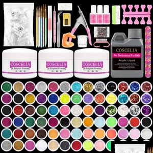 Kits d'art nail kit acrylique avec paillettes en poudre de poudre monomère pour les ongles