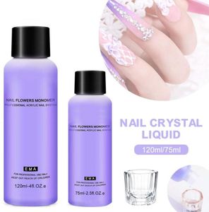 Kits de arte de uñas DIY Acrílico Líquido Monómero Fuerte Adhesión para Extensión Tallado No Yellowing Home Salon1222180